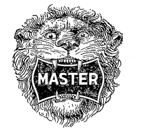 MASTER logo