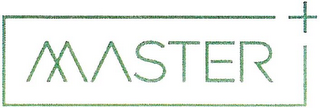 MASTER logo