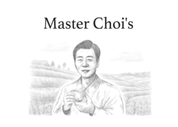 MASTER CHOI'S logo