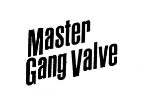 MASTER GANG VALVE logo