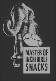 MASTER OF INCREDIBLE SNACKS logo