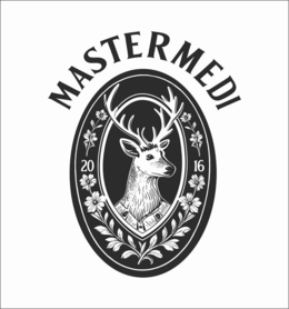 MASTERMEDI 20 16 logo