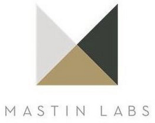 MASTIN LABS logo