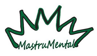 MASTRUMENTAL logo