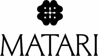 MATARI logo