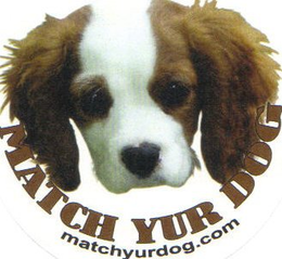 MATCH YUR DOG MATCHYURDOG.COM logo