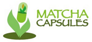 MATCHA CAPSULES logo