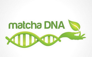 MATCHA DNA logo