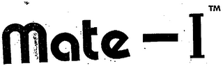 MATE-I logo