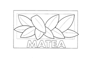 MATEA logo