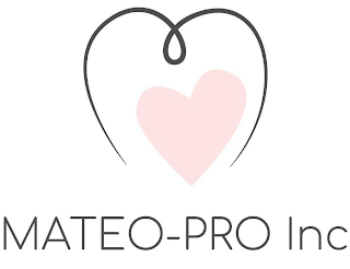 MATEO-PRO INC logo
