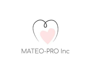 MATEO-PRO INC logo