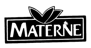 MATERNE logo