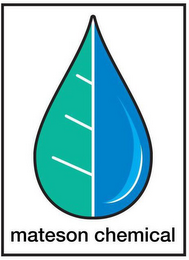 MATESON CHEMICAL logo
