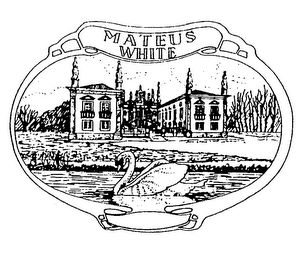 MATEUS WHITE logo