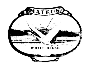 MATEUS WHITE BLUSH logo