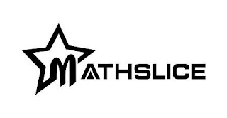 MATHSLICE logo