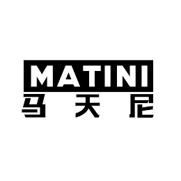 MATINI logo