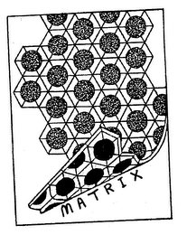 MATRIX logo