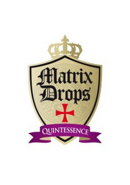 MATRIX DROPS QUINTESSENCE logo