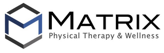 MATRIX PHYSICAL THERAPY & WELLNESS logo