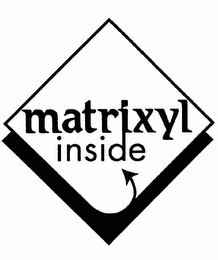 MATRIXYL INSIDE logo