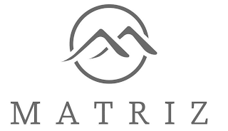 MATRIZ logo