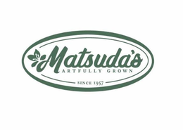 MATSUDA'S ARTFULLY GROWN SINCE 1957 logo