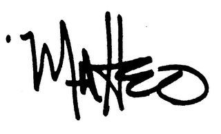 MATTEO logo