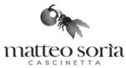 MATTEO SORIA CASCINETTA logo