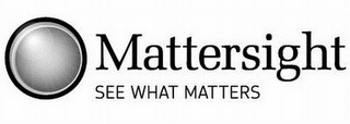MATTERSIGHT SEE WHAT MATTERS logo