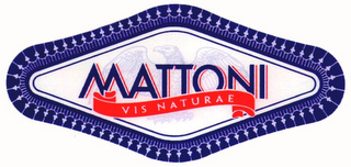 MATTONI VIS NATURAE logo