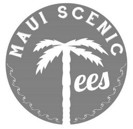 MAUI SCENIC TEES logo
