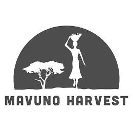 MAVUNO HARVEST logo
