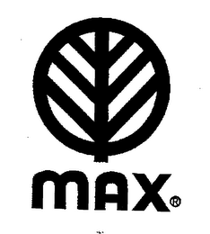 MAX logo