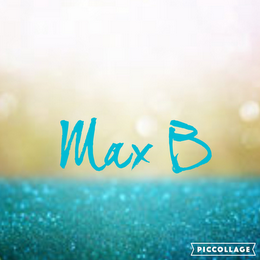 MAX B PICCOLLAGE logo