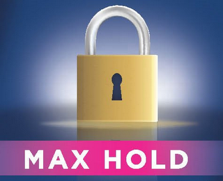 MAX HOLD logo