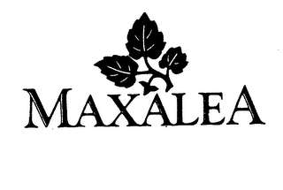 MAXALEA logo