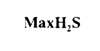 MAXH2S logo