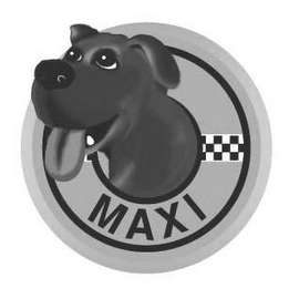 MAXI logo