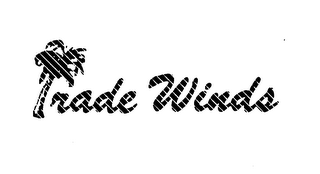 MAXI-MIZER logo