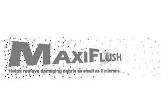MAXIFLUSH HELPS REMOVE DAMAGING DEBRIS AS SMALL AS 2 MICRONS logo