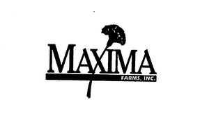 MAXIMA FARMS, INC. logo