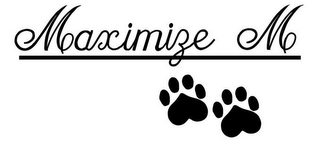 MAXIMIZE M logo