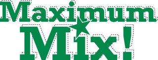 MAXIMUM MIX! logo