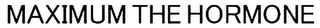 MAXIMUM THE HORMONE logo
