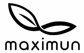 MAXIMUN logo