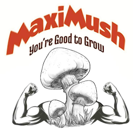MAXIMUSH YOU'RE GOOD TO GROW logo