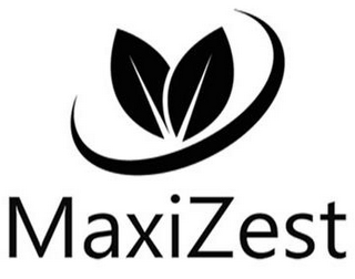 MAXIZEST logo