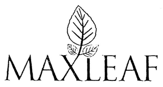 MAXLEAF logo